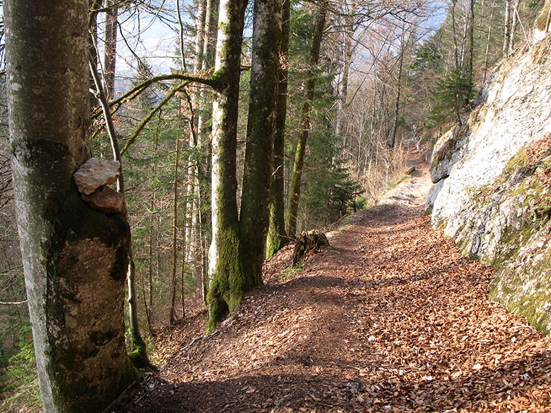 dreibruederkogel